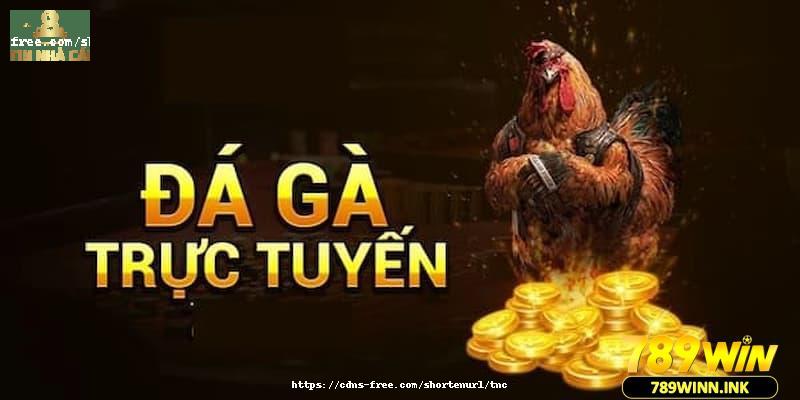 Lần lượt 3 trình tự diễn ra của một trận đá gà online